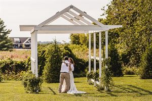 Hydrangea Blu Barn