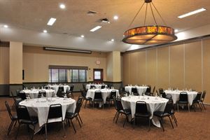 Stoney Creek Hotel & Conference Center-St Joseph