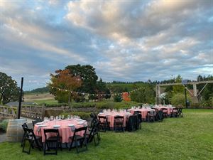 Saffron Fields Vineyard