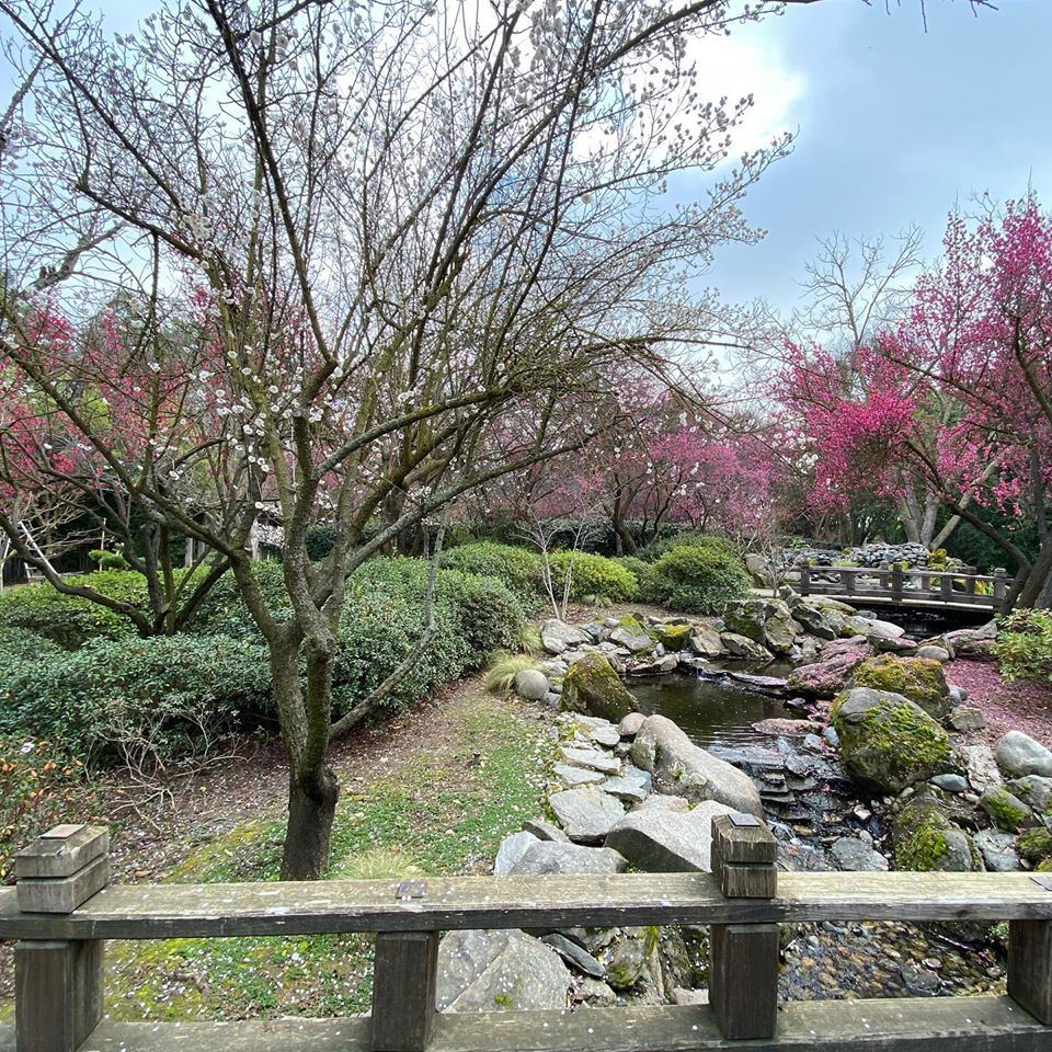 Shinzen Friendship Garden, Inc. - Fresno, CA - Wedding Venue