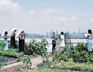 Brooklyn Grange