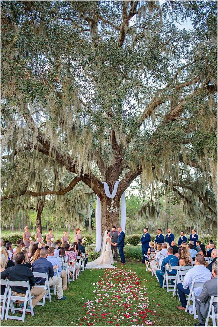 Barrington Hill Farm Dade City, FL Wedding Venue