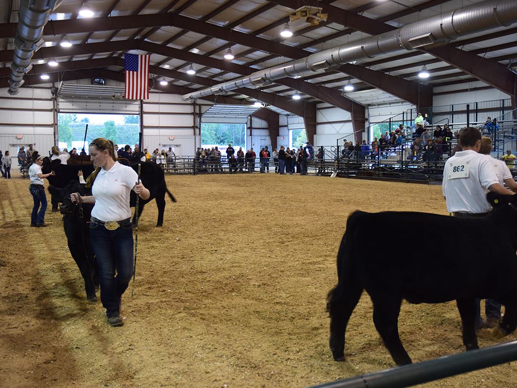 Fulton County Fair Facilities Wauseon, OH Party Venue