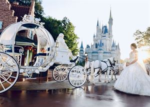 Cinderella Weddings