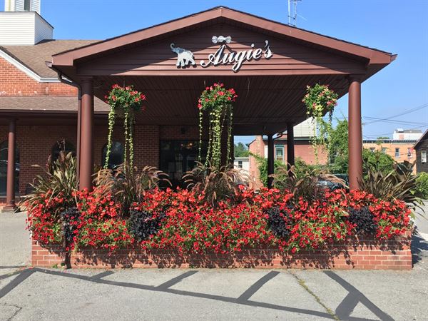 augies-family-style-italian-restaurant-bar-ballston-spa-ny-party