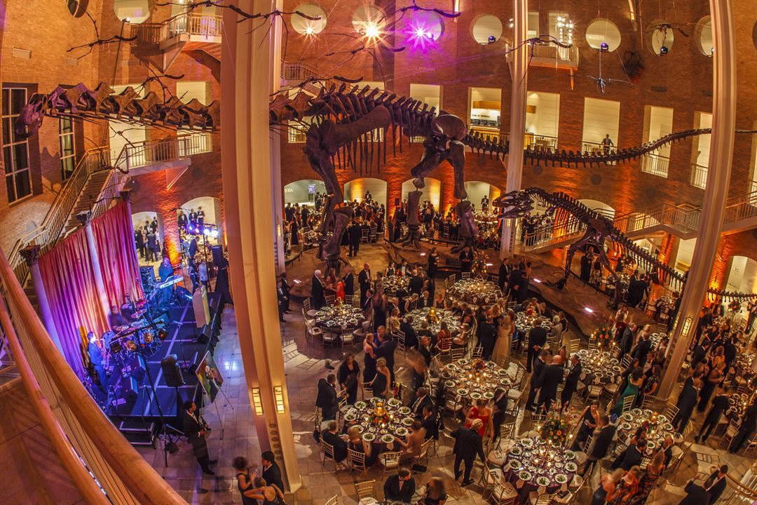 fernbank-museum-of-natural-history-atlanta-ga-party-venue