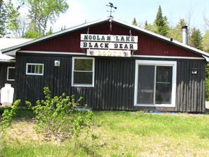 Black Bear Lodge