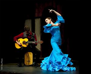Berdolé Flamenco Management and Production