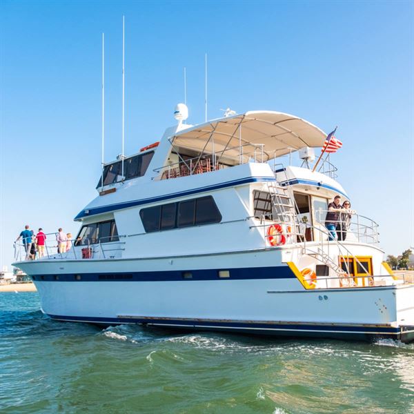 paradiso yacht charters newport beach