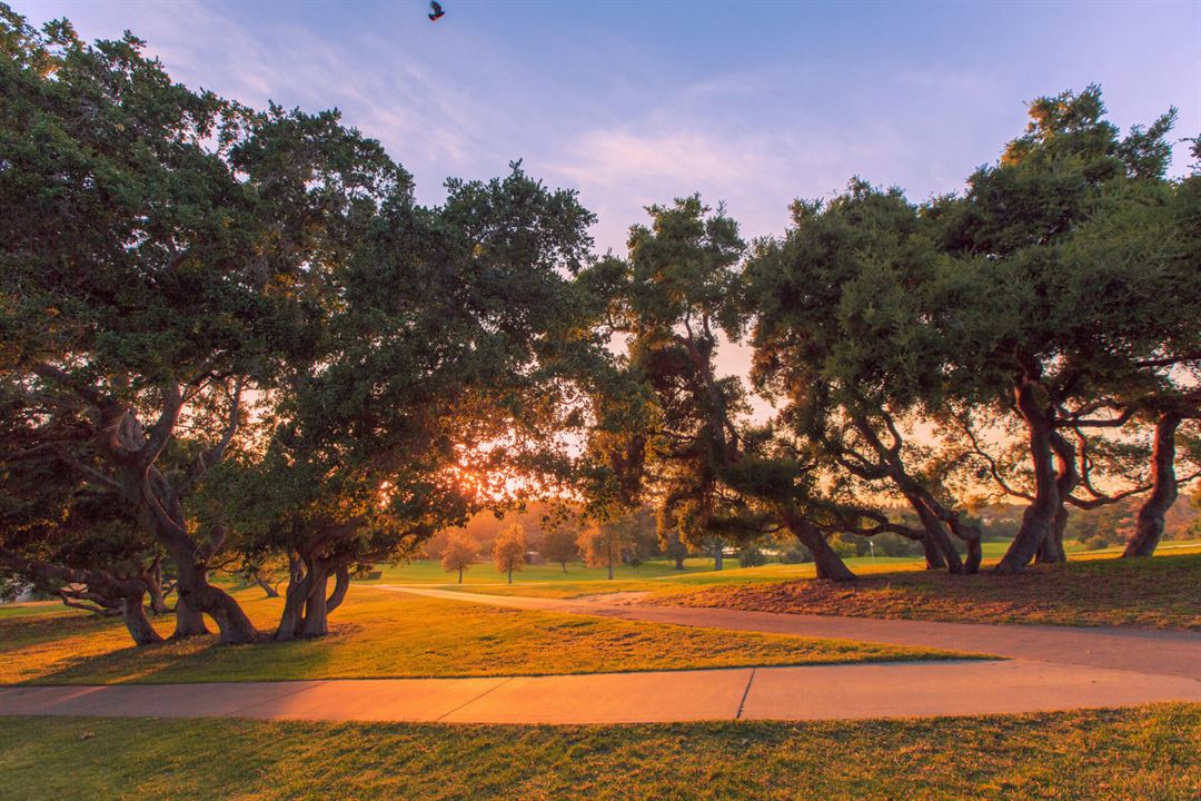 The Mission Club Golf Course Lompoc, CA Wedding Venue