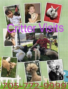 Critter Visits of Woolley Wonderland Farm