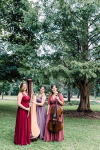The Soenen Sisters-Harp, Flute and Cello for Weddings and Events