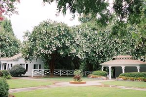 Marietta Gone With the Wind Museum at Historic Brumby Hall & Gardens