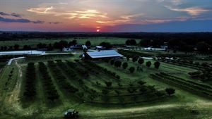 Denton Valley Farms