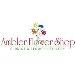 Ambler Flower Shop Florist & Flower Delivery