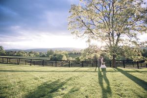 Silverbrook Farm