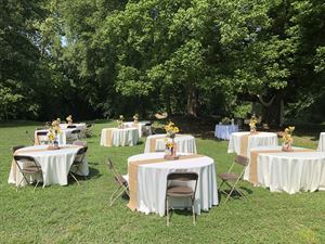 Tilley Mill Events
