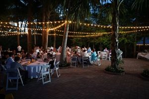 Southern Palm Weddings & Events