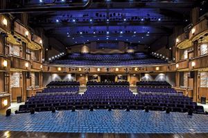 The Goodman Theatre