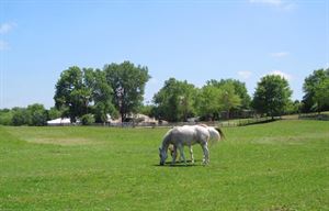 Holsman Stables