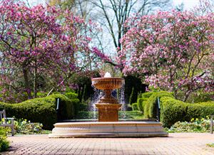 Kingwood Center Gardens