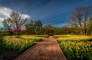 Le Jardin at Cantigny Park