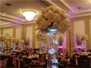 Floral Concierge - Daytona Beach