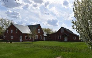 Wooden Wheel Vineyards