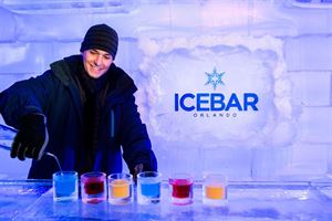 ICEBAR Orlando