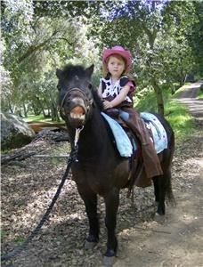 Once Upon A Pony Rides & Petting Zoo