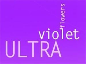 Ultra Violet Flowers