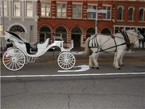 Capitol City Carriage Services