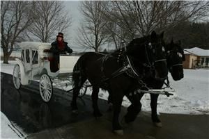 Top Hats and Tails Carriage Company