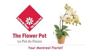 The Flower Pot