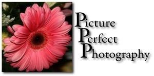 Picture Perfect Photography