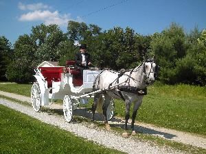 Serenity Farms Carriages