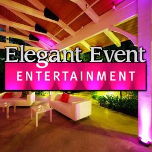 Elegant Event Entertainment Los Angeles Lighting