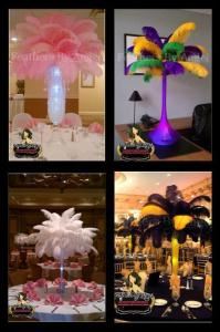 Feathers By Angel-Ostrich Feather Centerpieces - Detroit